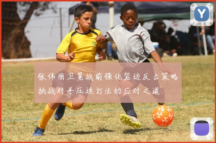 张伟丽卫冕战前强化笼边反击策略挑战对手压迫打法的应对之道